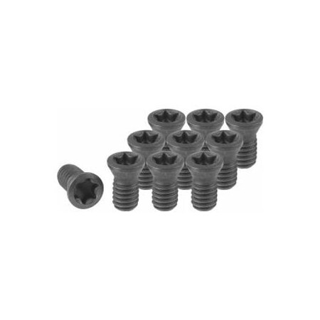 Garant Set of insert screws, 10 pieces, Type: 7 269028 7